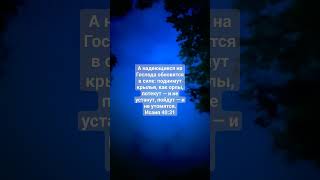 А надеющиеся на Господа обновятся в силе: поднимут крылья, как орлы, потекут — и не устанут