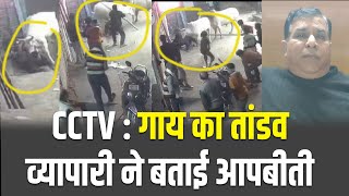 Rewari CCTV | गाय का तांडव | व्यापारी ने बताई आपबीती | Rewari Update News