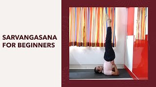 Sarvangasana for Beginners