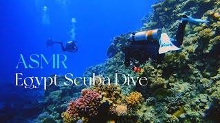 ASMR Soft Spoken Scuba Dive Adventure of Poseidon's Reef Hurghada Egypt (4K)