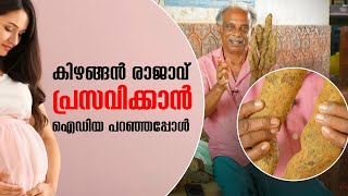 കിഴങ്ങന്‍ രാജാവ്  പ്രസവിക്കാന്‍ ഐഡിയ പറഞ്ഞപ്പോള്‍ |  Nattathum Nanachathum Ep:10 | P J Manuel