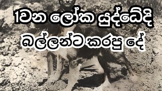 පලමු ලෝක යුද්ධය | 1st World War In Sinhala | O/L History Sinhala