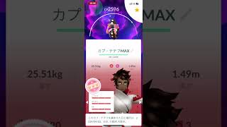 カプ・テテフ、色違い、MAX