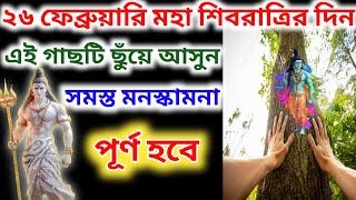 ২৬ ফেব্রুয়ারি মহা শিবরাত্রির দিন এই গাছটি  ছুঁয় আসুন মহাদেবের আশীর্বাদে সমস্ত মনস্কামনা পূরণ হবে।