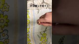 片目瞑って見て！鉛筆が飛び出るよ！#錯覚 #shorts