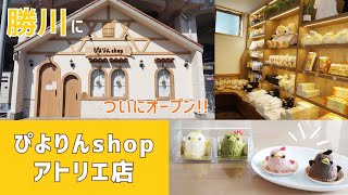 【春日井市勝川】ぴよりんshopアトリエ店が遂にオープン！店内＆販売商品を詳しく紹介【サボテンぴよりんセットも購入】