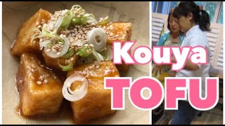 Koya-dofu Freeze-Dried tofu Vegan