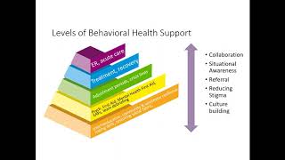 Living it and Feeling it: Understanding and Supporting Behavioral Health in Disasters