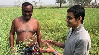 বিনাসরিষা-৯ সর্ম্পকে কৃষক মতামত  বিনা উপকেন্দ্র সাতক্ষীরা