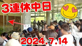 夏本番3連休🐼パンダ速報🎉大盤振る舞い✨全部見せ🤗