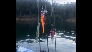 Chasing Big Cod on Eildon