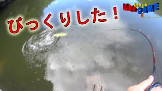 【うわ！そこで？！】ショートロッド１本持ってぶらっとバス釣りに行きました。ブラットしょういちのラトリンログARB1200野池おかっぱり釣行　～まるりんのMY GAME～