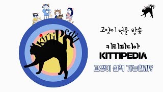 고양이 팟캐스트_고양이와 산책을 생각하고 계시는 집사님들 주목!