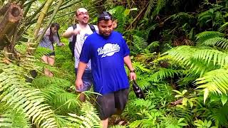 Kosrae: The beauty of Tafunsak Gorge 2024