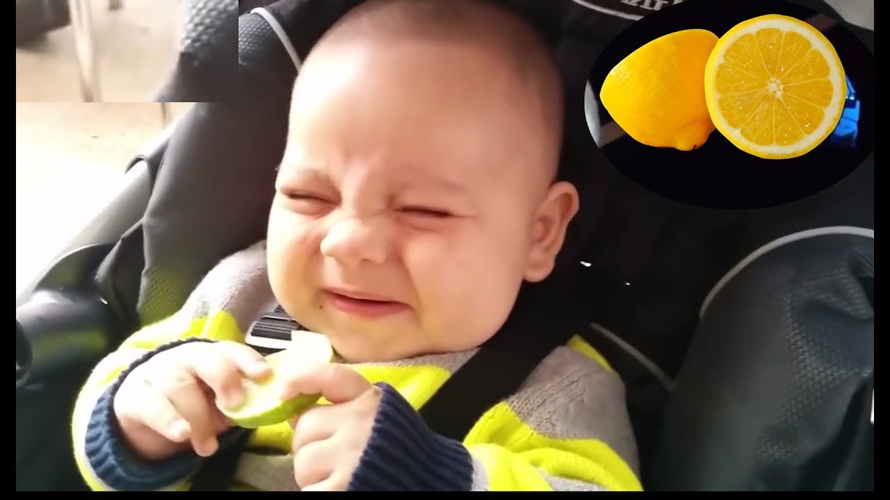 Baby Eats Lemon - A Babies Eating Lemons For The First Time Compilation ...