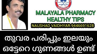 തുവര യും അതിന്റെ ഇലയും പരിപ്പും ഒട്ടേറെ ഔഷധ ഗുണങ്ങൾ ഉണ്ട്