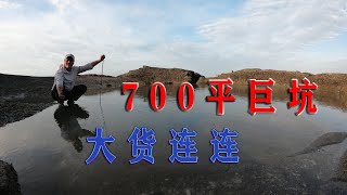 700平巨坑撒满100斤猪血10斤小鱼仔，大货连连，最少能卖1000多