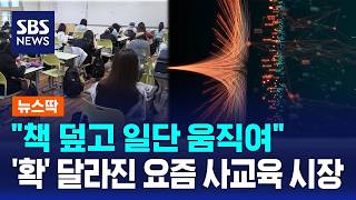 책 덮고 일단 움직여..확 달라진 요즘 사교육 시장 / SBS / 뉴스딱