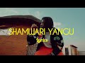 Voltz JT - Shamwari Yangu ft. Nasty Cole (Official Remix Lyrics)