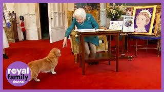 ADORABLE Moment Between Queen and her Pet Dorgi 🥺