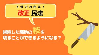 【民法改正】越境した隣地の枝を切ることができるようになる？