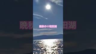 ネコと子ネコとおじさんのネコ無し動画　晩秋の十和田湖　#shorts #青森 #十和田 #十和田湖 #紅葉 #湖畔 #青森県