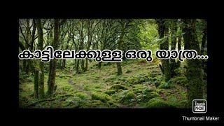 ഈ forest മൊത്തം കാടാണല്ലോ.. കാട്ടിലേക്കുള്ള ഒരു യാത്ര...#injakkund#ichuzzworld