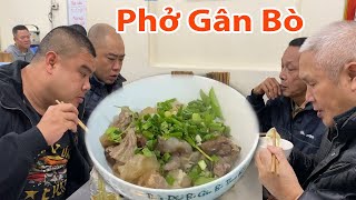 Phở Gân Bò- Vó Bò Món Nhậu Đỉnh Cao Của Dân Phố Cổ