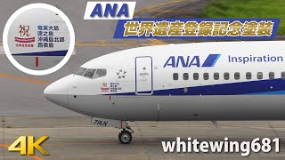 [世界自然遺産登録記念特別塗装機] ANA Boeing 737-800 JA71AN LANDING TOYAMA Airport 富山空港 2021.8.16