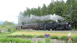 2024.5.12 東武鉄道鬼怒川線 大桑～大谷向間 SL大樹4号 C11 207号機牽引-2♪