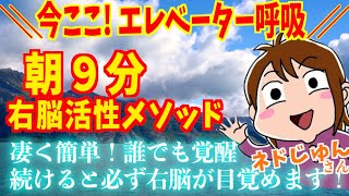 【ネドじゅん】朝９分一日一回で必ず右脳さんが活性化します｜今ここ➕エレベーターの呼吸｜自動思考を抹消｜心地良い水の音に癒される新しい右脳活性化メソッド✨