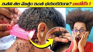 🔵 ఏంటి ఈ దారుణం | intresting facts in telugu | telugu facts | random facts | virinchi facts