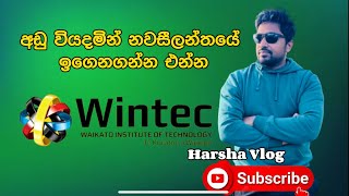 නවසීලන්තයේ ඉගෙනගන්න ලේසිම තැනක් | Wintec Education Institute New Zealand