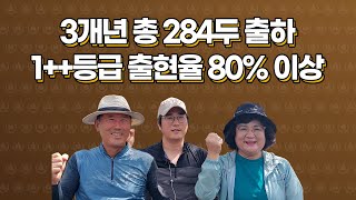 한우 성적 놀랍소!  3개년 총 284두 출하, 1++ 출현율 80% 이상!!!