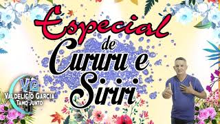 Seleção Especial /Cururu e Siriri@valdeliciogarcia