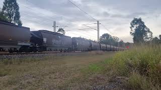 Aurizon loaded coal train Mt Miller 6th of June 2023