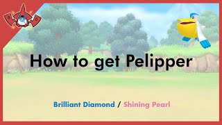 How to get Pelipper in Pokemon Brilliant Diamond \u0026 Shining Pearl [#279]