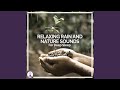 Relaxing Rain and Nature Sounds for Deep Sleep