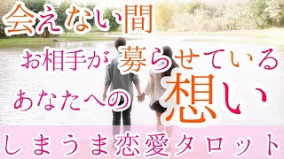 会えないあいだ、お相手が募らせているあなたへの想いを、カードで見ていきます【恋愛タロット占い・カードリーディング】