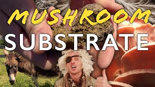 Mushroom Substrate