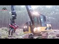 Top 199 High-Speed Chainsaw Machines Remarkable Tree Cutting Equipment