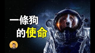 史上最無助的狗，已經在宇宙中流浪65年，再也沒有機會回家