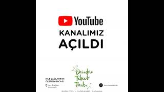 Darıdere Tabiat Park Youtube'da