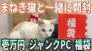 PCジャンク福袋・2023【壱万円の秋葉原ジャンクPC福袋】可愛すぎる猫と一緒に開封w