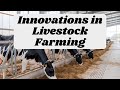 Innovations in Livestock Farming: How Tech is Improving Animal Welfare