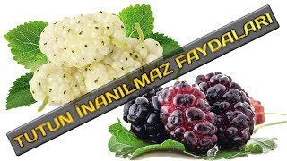 TUTUN SAĞLAMLIQ ÜÇÜN FAYDALARI