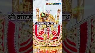 श्री कोटडी़ श्याम आज के दर्शन  shree kotri shyam Aaj ke dharshan