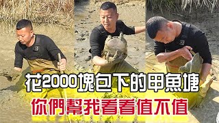 花2000塊包下的甲魚塘，妳們幫我看看到底值不值？#三農 #戶外 #農村生活 #小飛哥#抓魚vlog