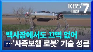 백사장에서도 끄떡 없어…‘사족보행 로봇’ 기술 성큼 / KBS  2023.01.26.