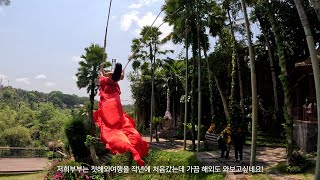 낚시좋아하는 부부의 첫 해외여행 (세부고래상어,발리스윙,발리여행) 1편